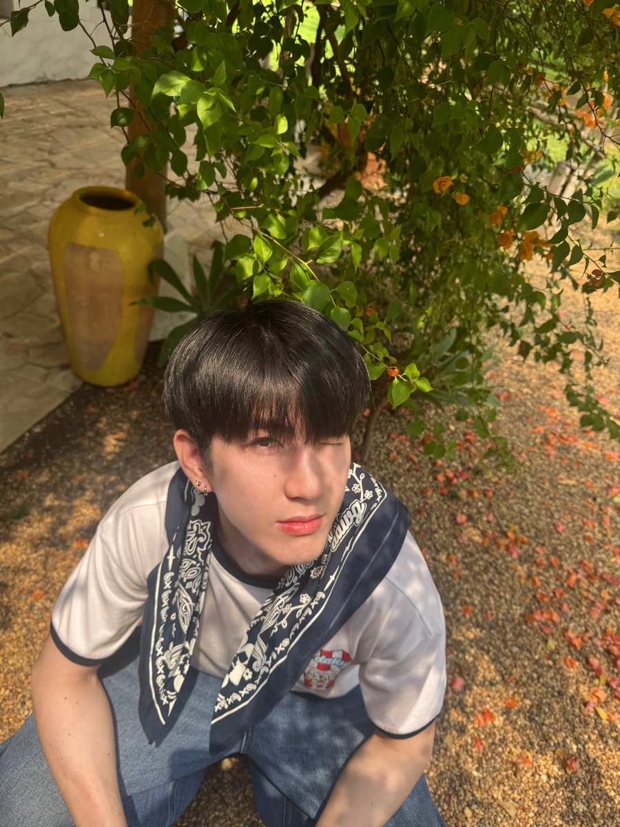 🚗🌻🌷💐