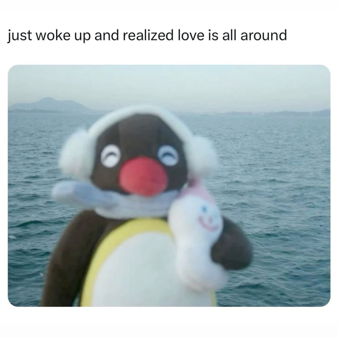 มรว.มัสตาด tweet media