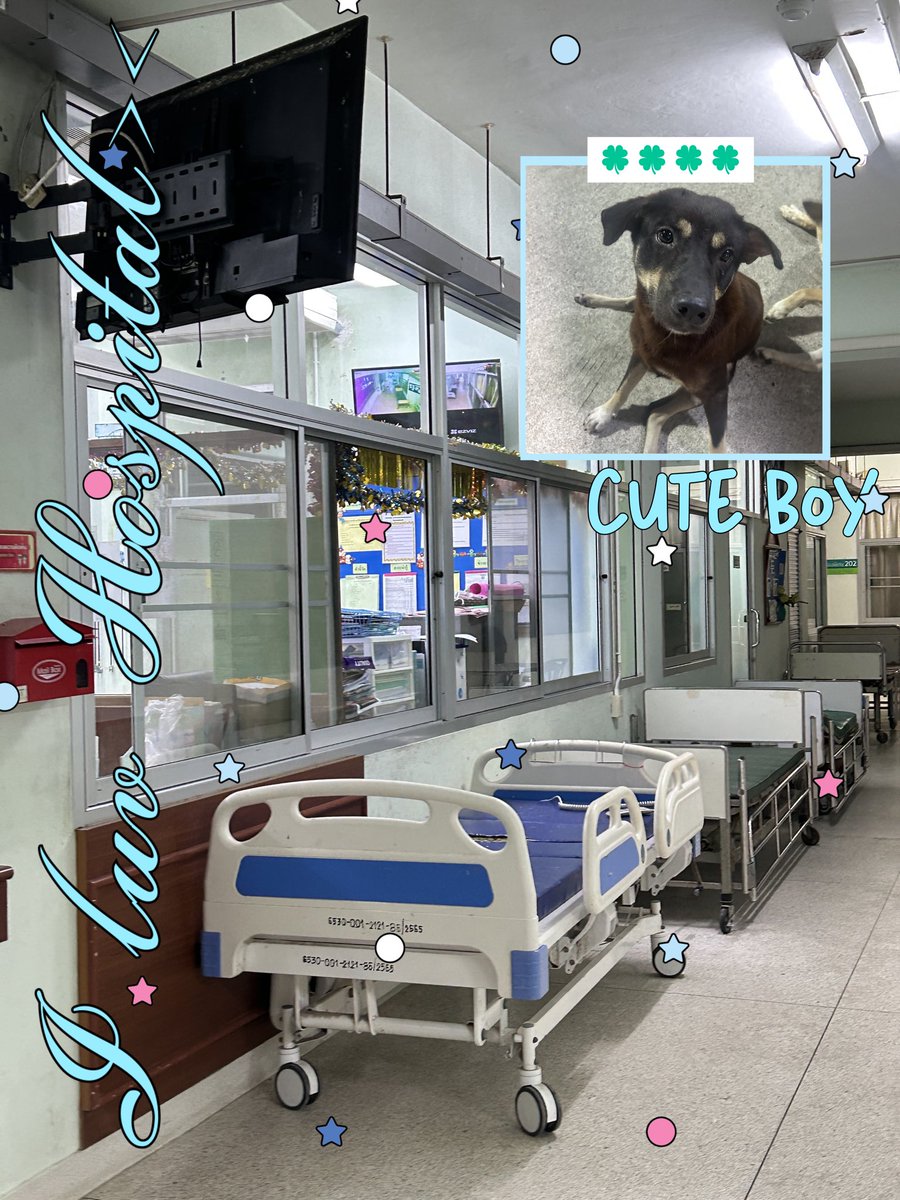 summerinjulyyy's tweet image. 👧🏻🛼Recap - 13 May🎒🤾🏻‍♀️
꒰ #juli3witstudy #jlwitm4 ⭐️꒱ 

🚌𓈓ฮาโหล๋มอสี่่ มอปลายแรว!! วันนิ้้เรียนปัยม่ายเย้อะะ เจอเนื้อหาใหม่ ๆ น่าเรียนฟุ้ดฟุ้เ นีรีบปั่รการบ้านตั้งแต่ทีรร.✍🏻กลับมานอรหลับปุ๋ย ตืนปุ้ปรีบมาอ่านทวนนเยย5445665 ขอบคุรทีซัพพอตเครืองเขียนให่ผุ้หญิงครนี้้☝🏼(ไหว้ย่อ)🙇🏻‍♀️