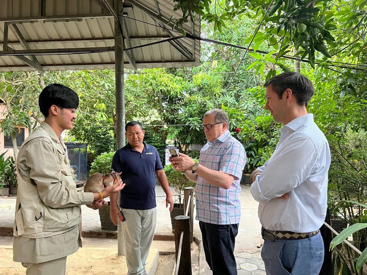 UK in Cambodia🇬🇧🇰🇭 (@ukincambodia) on Twitter photo 🇬🇧🤝🇰🇭 <a href="/UKAmb_Hay/">Charles Hay</a>, FCDO Director for South-East Asia &Pacific & <a href="/DomWUK/">Dominic Williams 🇬🇧🇰🇭</a> visited UK-funded mine action programmes at <a href="/TheHALOTrust/">The HALO Trust</a> minefield & <a href="/herorats/">APOPO</a> at APOPO in Siem Reap. Our funding is delivering real impacts for safer communities in 🇰🇭.
Read more👇
gov.uk/government/new… 🇬🇧🤝🇰🇭 <a href="/UKAmb_Hay/">Charles Hay</a>, FCDO Director for South-East Asia &Pacific & <a href="/DomWUK/">Dominic Williams 🇬🇧🇰🇭</a> visited UK-funded mine action programmes at <a href="/TheHALOTrust/">The HALO Trust</a> minefield & <a href="/herorats/">APOPO</a> at APOPO in Siem Reap. Our funding is delivering real impacts for safer communities in 🇰🇭.
Read more👇
gov.uk/government/new…
