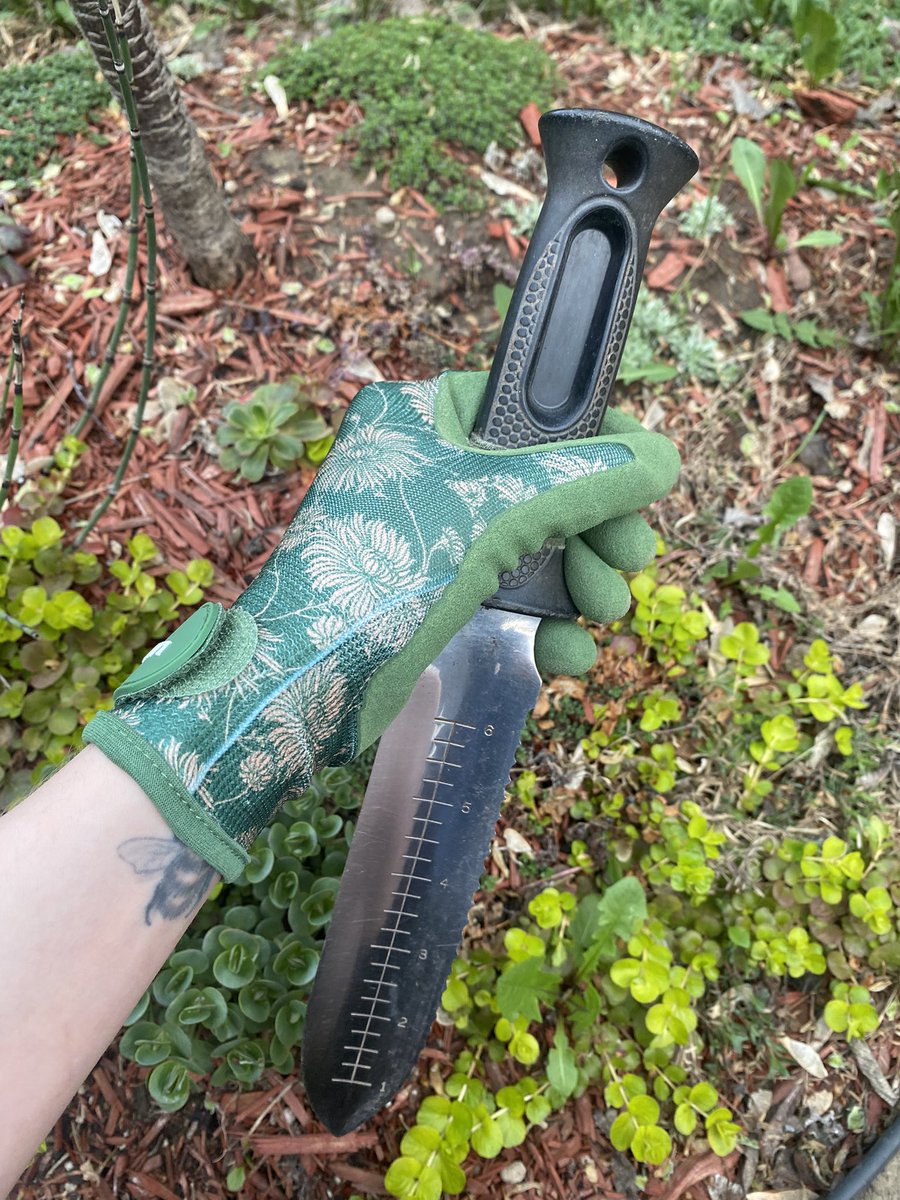 NepsTerrarium's tweet image. In LOVE with these cute af garden gloves I just got (yes, I’ve already ruined them with dirt) 
#gardener #Vtuber