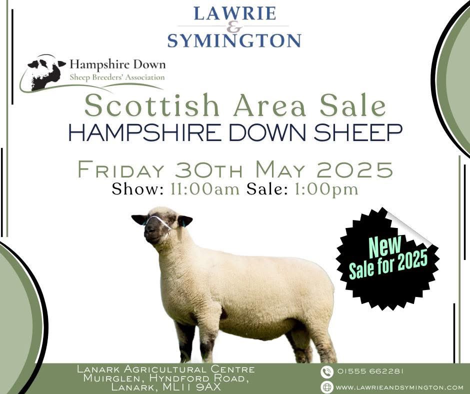 💥𝙎𝘾𝙊𝙏𝙏𝙄𝙎𝙃 𝘾𝙇𝙐𝘽 𝙎𝙃𝙊𝙒 &amp; 𝙎𝘼𝙇𝙀 𝙊𝙁 𝟲𝟴 𝙃𝘼𝙈𝙋𝙎𝙃𝙄𝙍𝙀 𝘿𝙊𝙒𝙉 𝙎𝙃𝙀𝙀𝙋 💥

🗓 Friday 30th May
⏰ 1pm (Show: 11am)

Online Bidding via <a href="/marteye1/">MartEye</a> 

Catalogue: lawrieandsymington.com/sale-catalogue…

<a href="/HampsSheep/">Hampshire Down Sheep</a>