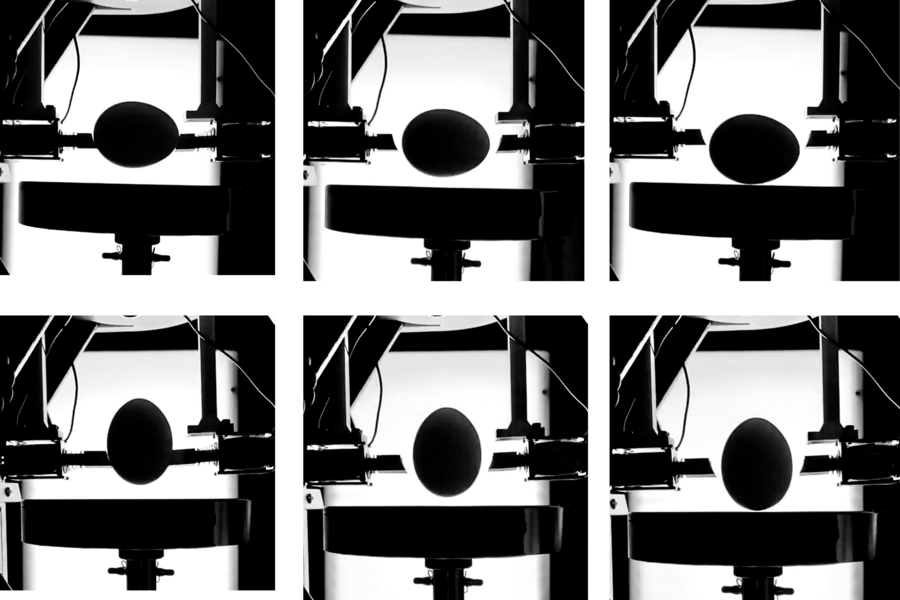 Are eggs more impact resistant when dropped on their sides or on their tips? Some egg-citing new data from MIT is challenging a commonly held belief: go.instron.com/3F4SDF3