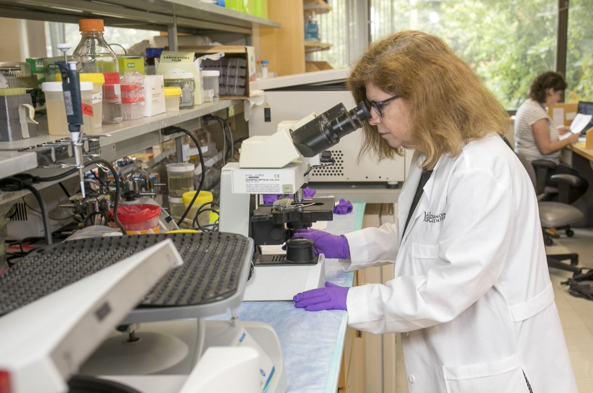 Yale School of Medicine (@yalemed) on Twitter photo YSM researchers at <a href="/YaleCancer/">Yale Cancer Center</a> are finding ways to identify the side effects of #immunotherapy earlier, so symptoms can be managed without interrupting lifesaving #cancer #treatment: brnw.ch/21wSCnH YSM researchers at <a href="/YaleCancer/">Yale Cancer Center</a> are finding ways to identify the side effects of #immunotherapy earlier, so symptoms can be managed without interrupting lifesaving #cancer #treatment: brnw.ch/21wSCnH