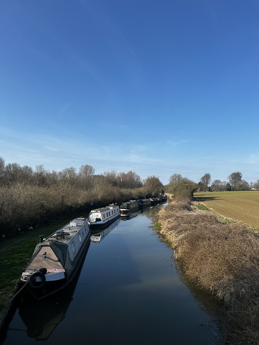 Maskariio's tweet image. 