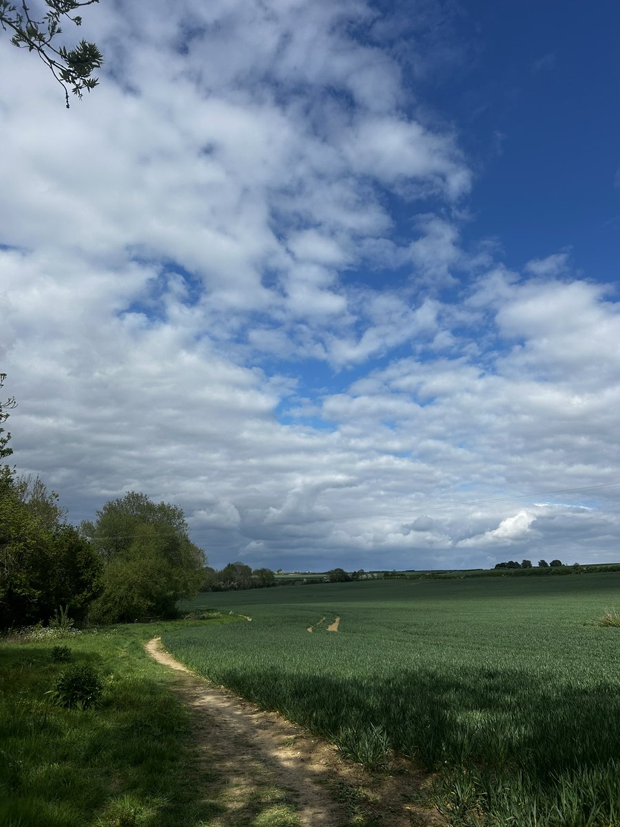 Maskariio's tweet image. 