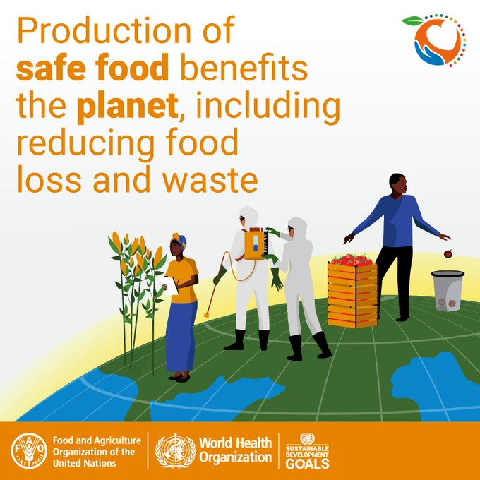 FAOWHOCodex's tweet photo. 📝 | Unsafe food in trade impacts on trust and on trading relationships. 

👉 Investing in #FoodSafety will reap future rewards by avoiding trade rejections, economic losses and food loss and waste. 

#WorldFoodSafetyDay | 7 June https://t.co/JRYo60cf0Y