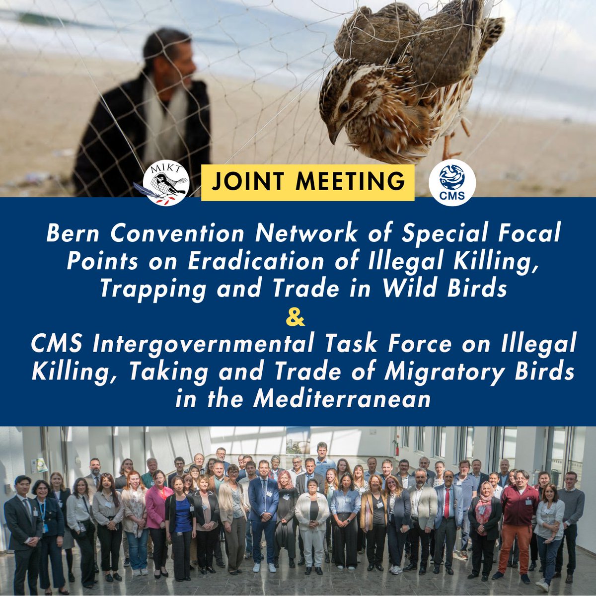 Illegal killing, taking &amp; trade of migratory birds (IKB) has been of growing concern in the past decades. 🐦

This morning in Bonn, a three-day gathering of members, observers, experts &amp; stakeholders kicked off to review progress on the Rome Strategic Plan 2020-2030, share