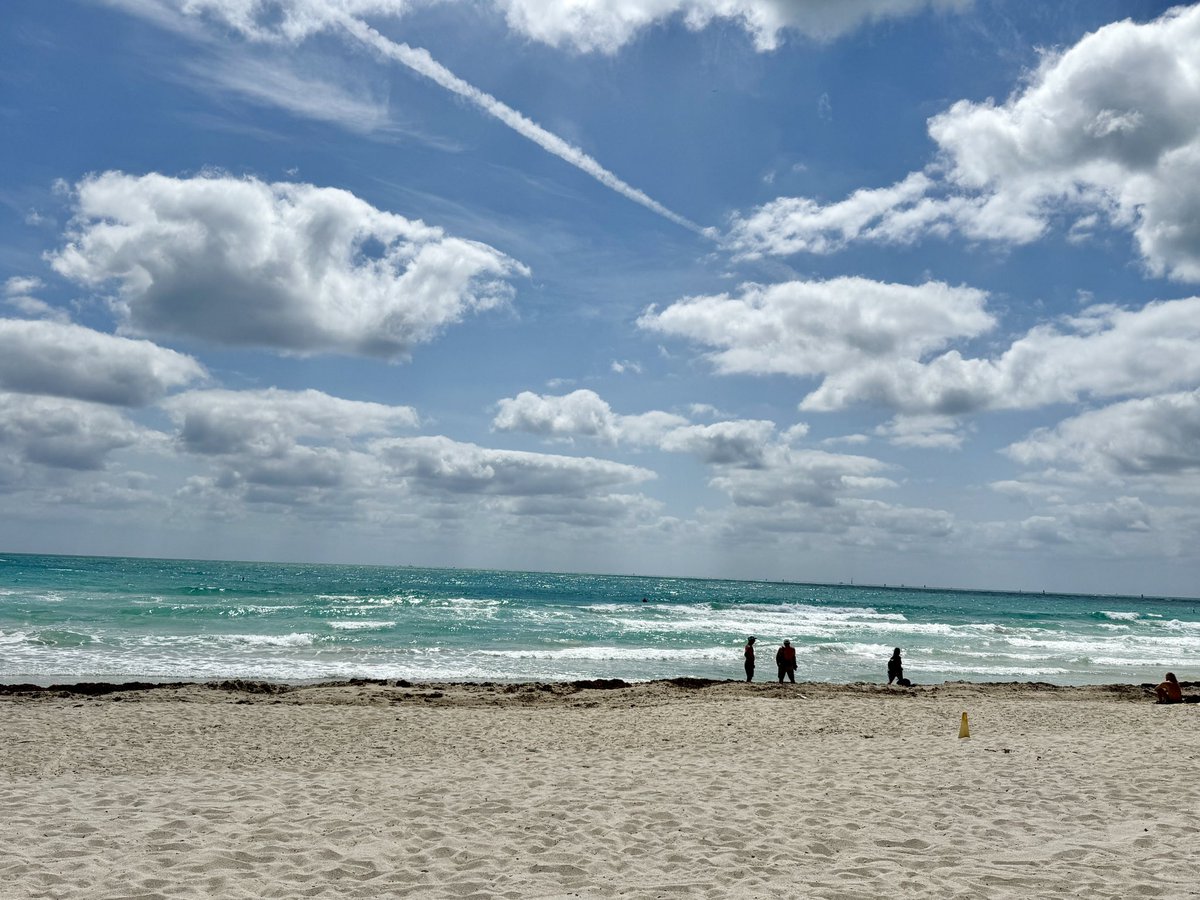 RJY91's tweet image. I’m a sucker for blues.