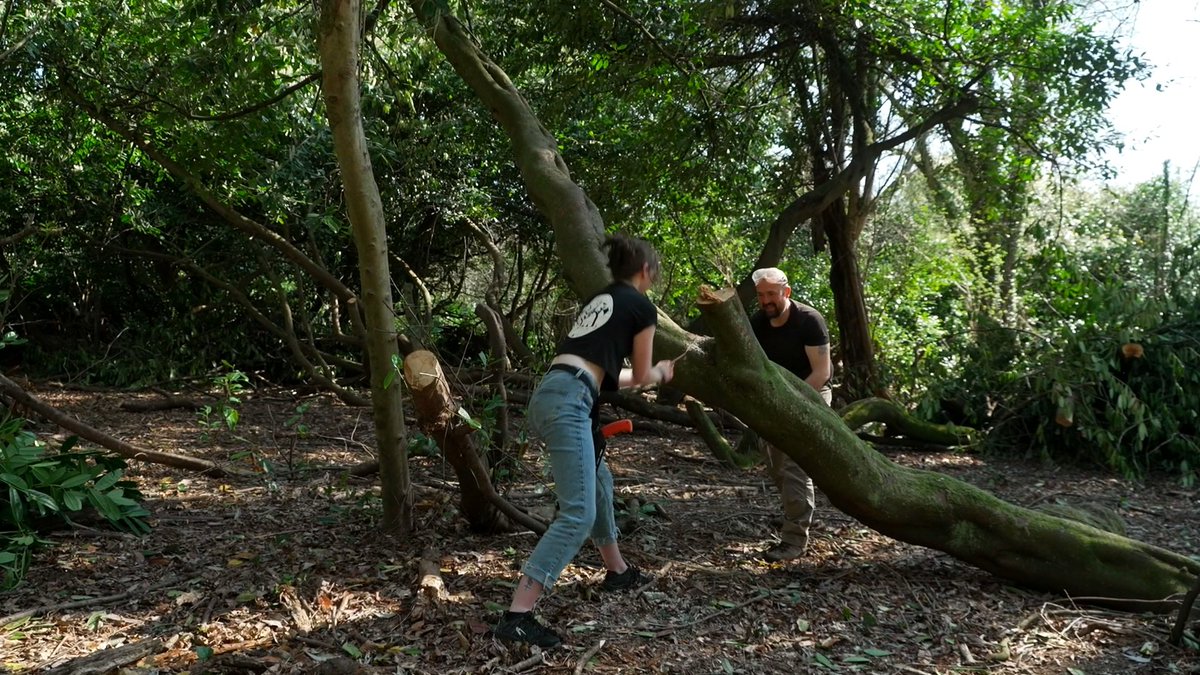 We focus on Ireland’s woodlands and the remarkable lifespans of trees, some of which can live for hundreds of years on #RTENationwide Wednesday 14th May on <a href="/RTEOne/">RTÉ One</a> at 7pm &amp; RTE1+1 at 8pm