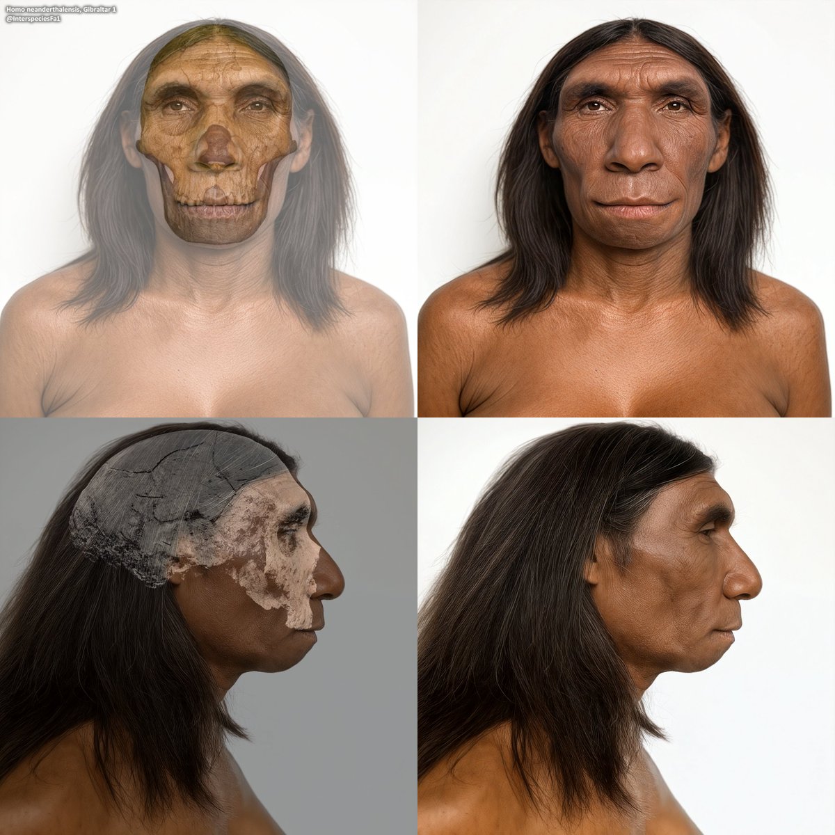 Quality update for my representation of Gibraltar 1, a Neanderthal woman, including improved texture and depth, adjustments to body proportions, and a profile view.