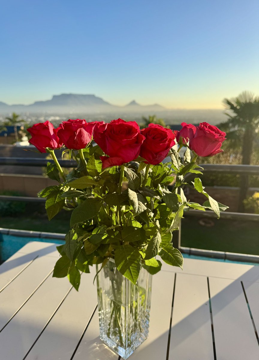 Beautiful and blessed Tuesday evening to all ❤️🌹