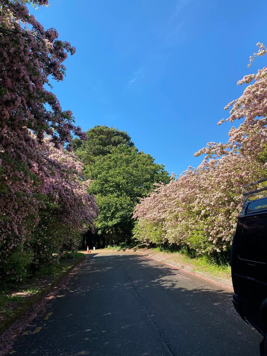 🌿 Good Morning 🌿

Feeling grateful for the serene beauty of Tramore Road Campus this morning. The lush greenery and tranquil atmosphere are perfect for a peaceful start to the day. 
Nature truly has a calming effect, making it a wonderful place to study, relax and recharge.