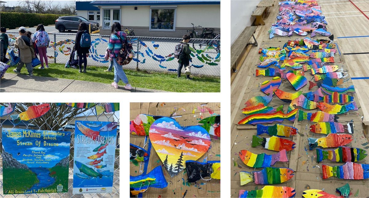 🐟🎨 Over 400 hand-painted fish now swim across a school fence — each one a creative reminder of our shared responsibility to protect local waterways. Part of the Stream of Dreams project, the display blends art, environmental learning and Indigenous teachings.