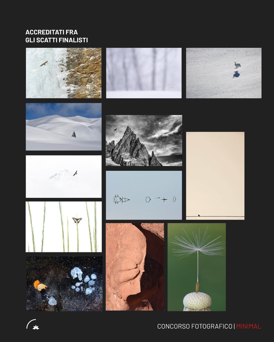 🥇"Simmetria Selvaggia" di Michele Remonti conquista il podio del nostro XIX #concorsofotografico, "Minimal"!
🥈2° Fabien Greban con “Little boy”.
🥉3° Stefano Cerutti con “Un attimo d’aria”.

📅 La premiazione avverrà durante il 28° Gran Paradiso Film Festival!
#fotografianatura