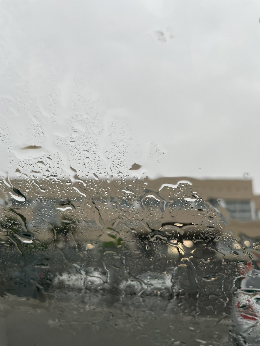 Si plou per Sant Pere Regalat, plou 40 dies de comptat… sabeu quin dia és avui?