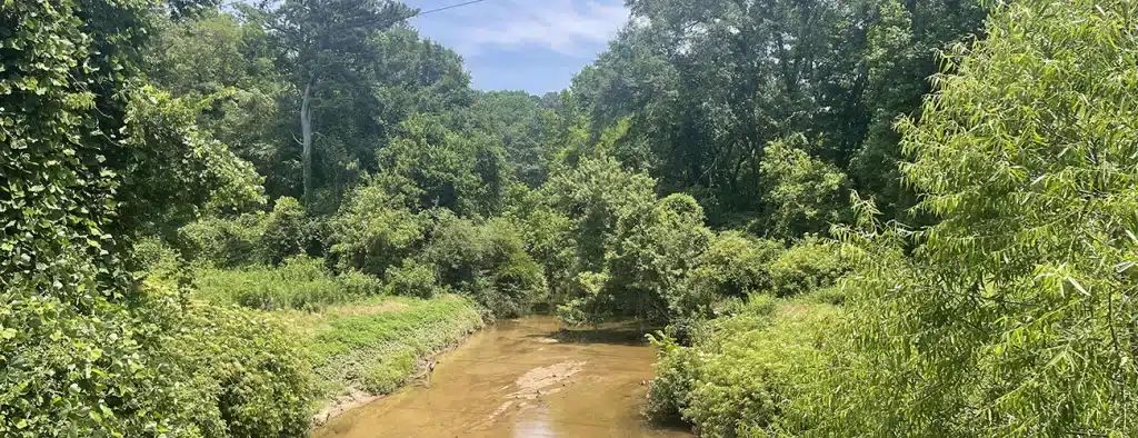 Morningside Nature Preserve - Our visit to Morningside Nature Preserve in Atlanta, GA #atlantaparks #hikeatlanta #hiking #morningsidenaturepreserve Read more: trailsandtap.com/morningside-na…