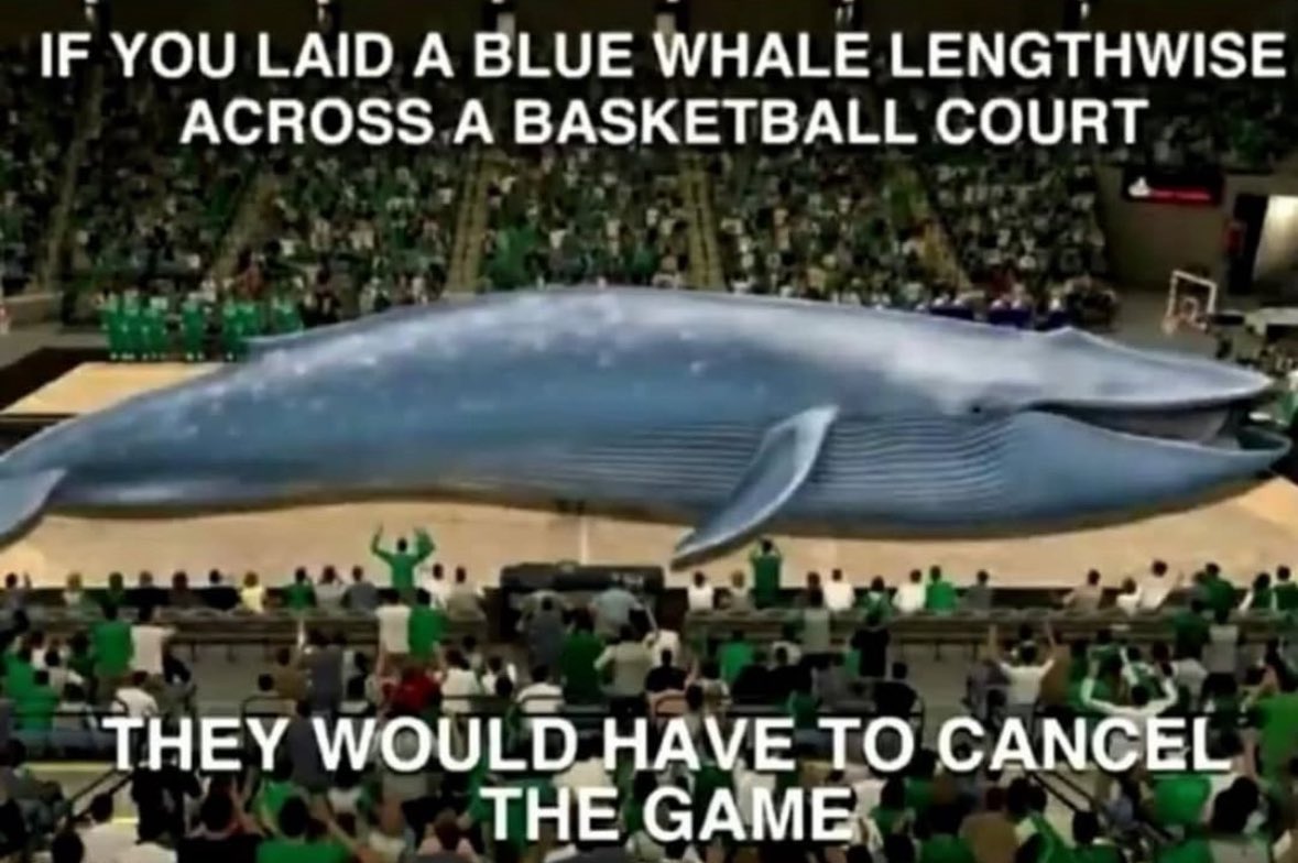 E (@elliotlfg) on Twitter photo 