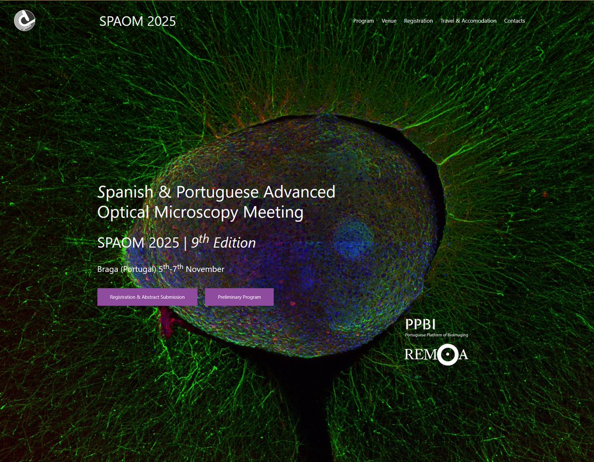 PPBioImaging's tweet image. 📣 SPAOM 2025 is LIVE! 🌟
We’re excited to announce that the official SPAOM 2025 website is now online — and early bird registration is OPEN! 🎉

🔗 Explore the brand-new website for details.

📍 Braga, Portugal
📅 November 5–7, 2025
🌐 [spaom2025.org]