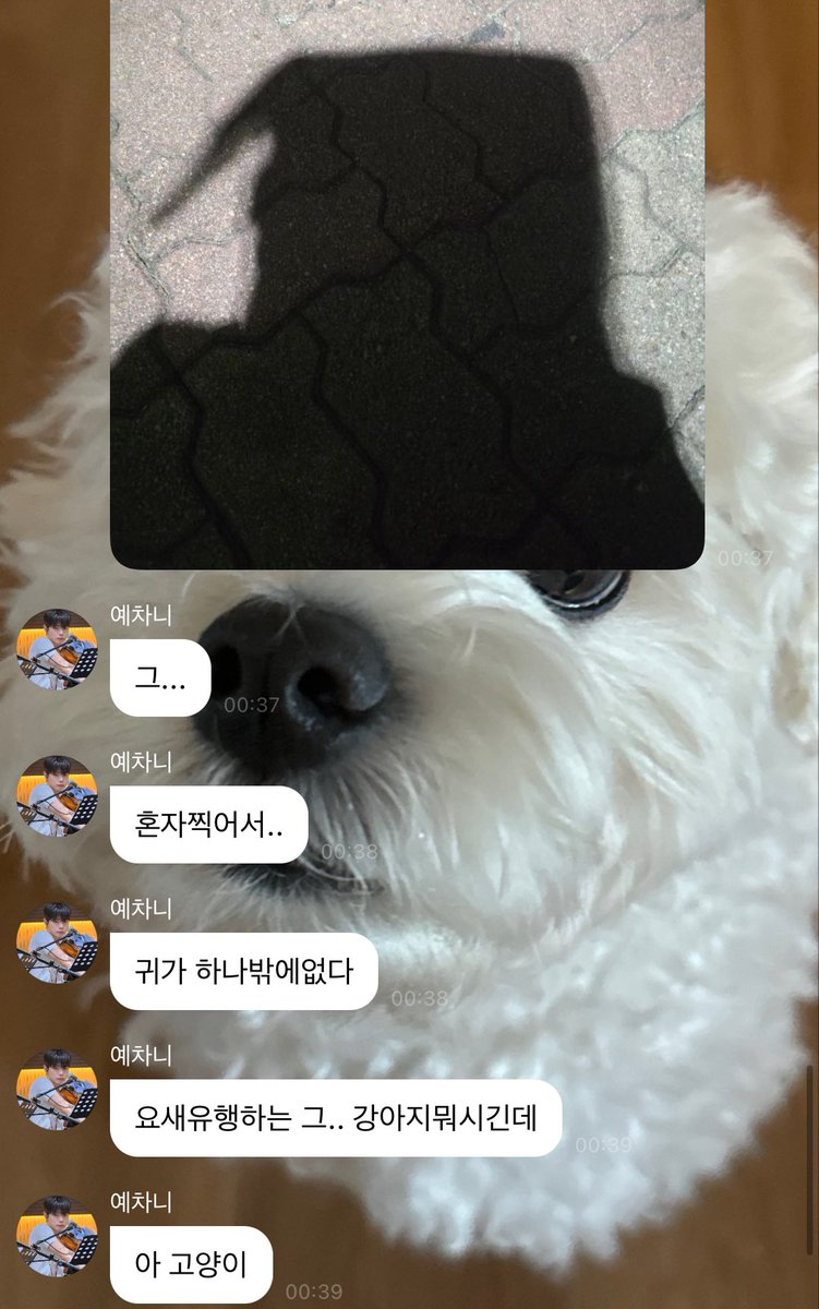 아 귀여워 혼자 요래조래 했을 생각하니까