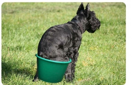 LscFreiburg (@lscfreiburg) on Twitter photo 