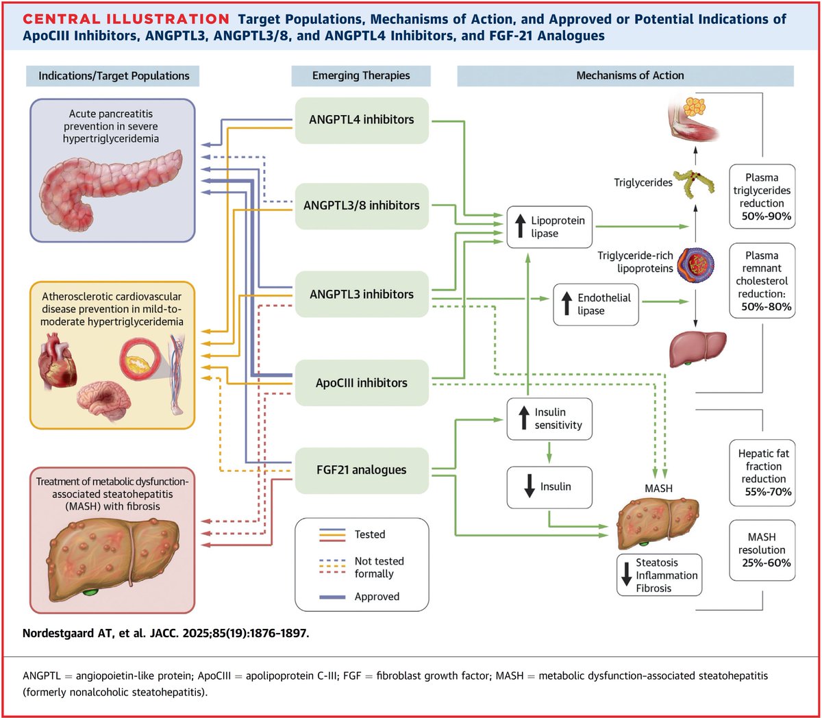 JACC STATE-OF-THE-ART REVIEW: do you have problems understanding all the new drugs to lower triglycerides and remnant cholesterol: lipid and side effects, target populations, approved or not by FDA+EMA? Ask Tybjærg Nordestgaard et al explain the details
authors.elsevier.com/a/1l4pB2d9GI27…