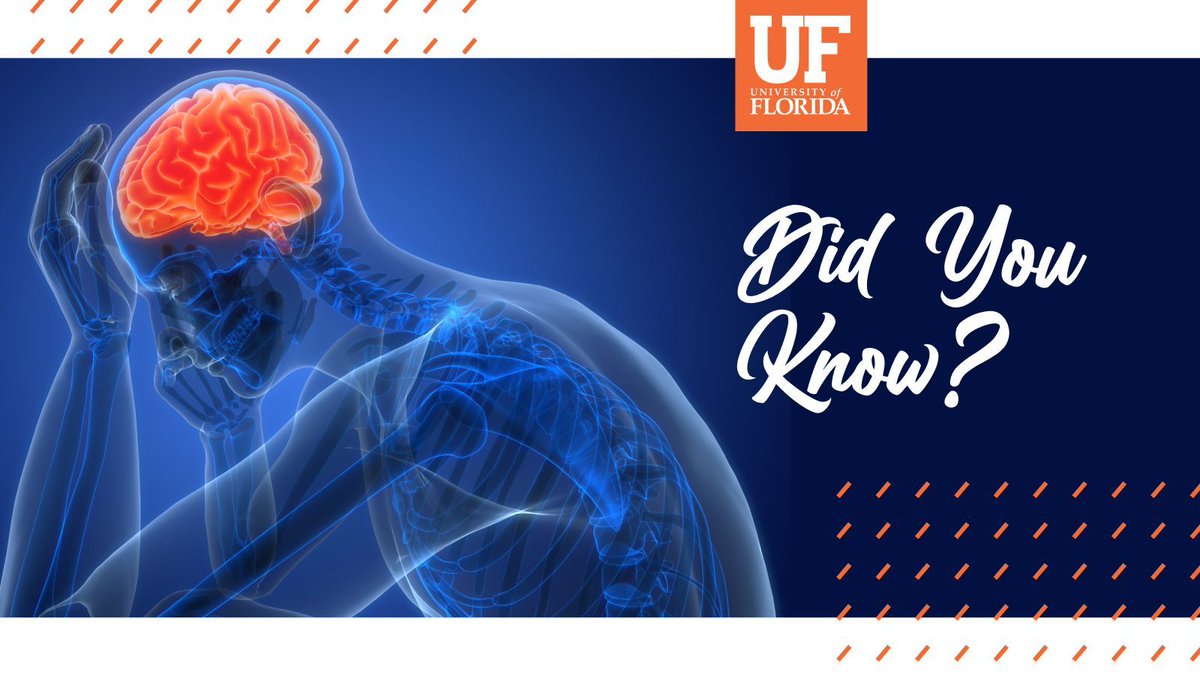 After an ischemic stroke, astrocytes—the brain’s support cells—can help or harm. They control inflammation, form protective scars, and influence how well brain cells reconnect, making them key players in recovery. 

🔗 neuroscience.ufl.edu/research/neura…