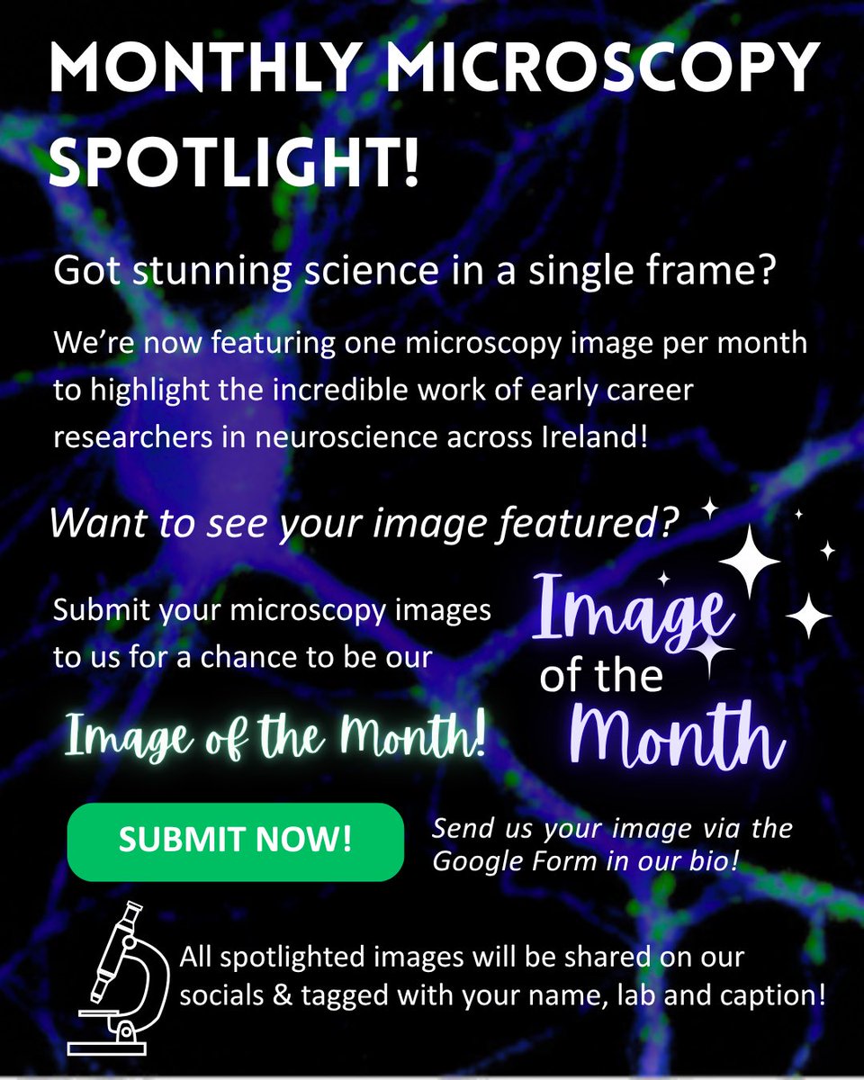🧠✨ We're launching the NSI-ECRN Monthly Microscopy Spotlight!

Each month, we’ll feature a stunning image from an early career neuro researcher in Ireland.

📸 Want to be featured?
Submit via the Google Form:
docs.google.com/forms/d/e/1FAI…

#Microscopy #SciArt