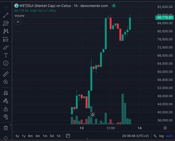 Chadwardthewise's tweet photo. @DementedNFT $WET chart? 

@WET_sui https://t.co/5QLrsoqFM3