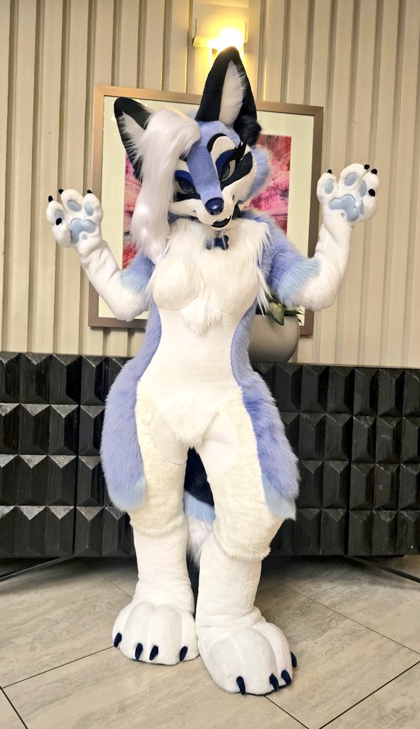 Glitzy_Fox's tweet image. Yes! We did make this full suit! What do yall think? Would you like to see more of this?