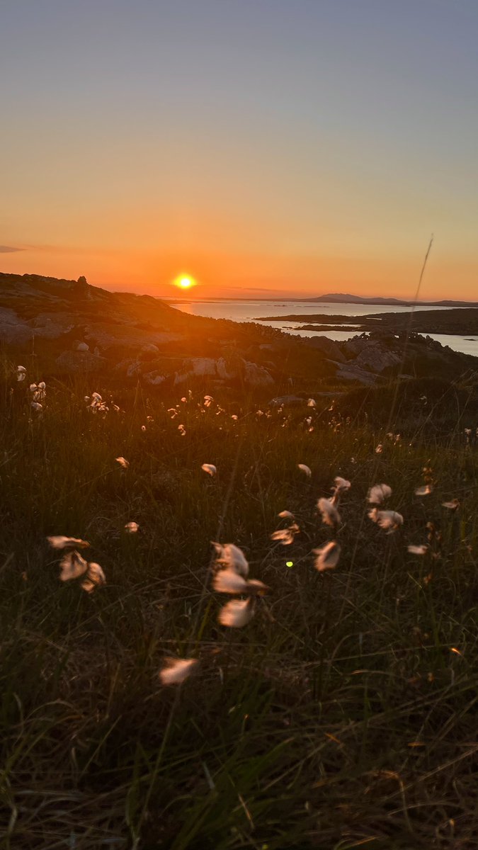 mairecait_mk's tweet image. an ghrian ag dul faoi #aimsir  📍Ceantar na nOileán 13.05.25