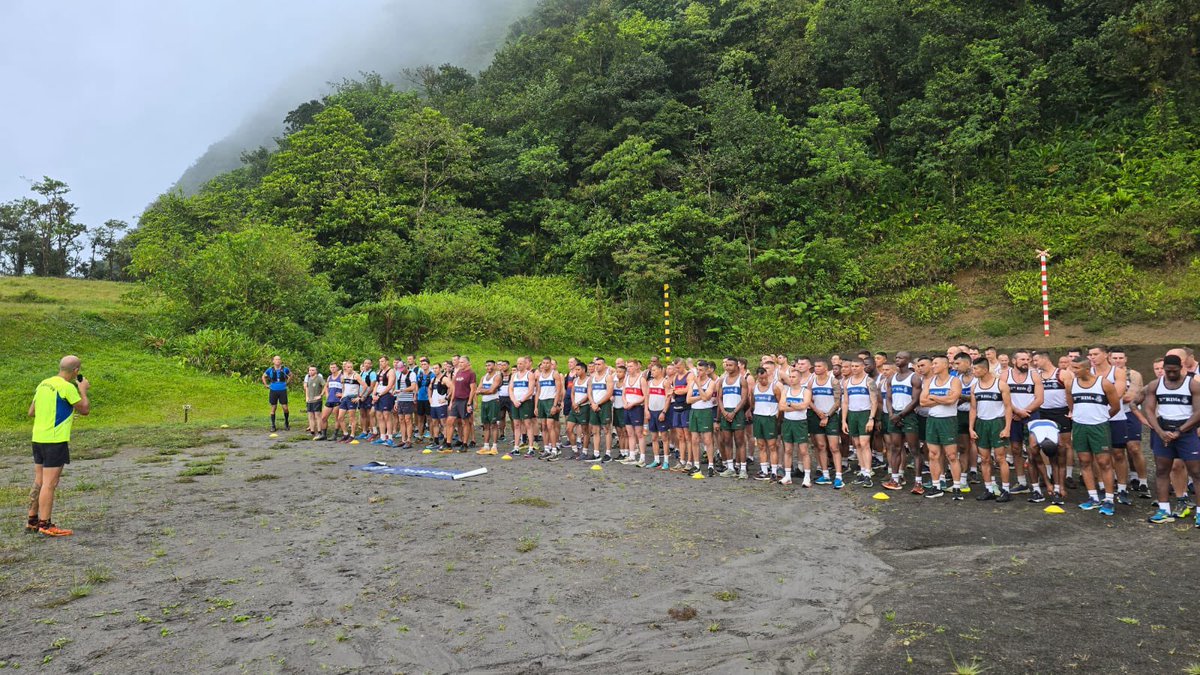 33e RIMa tweet media