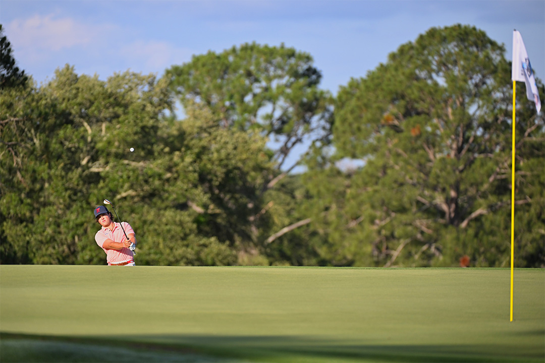 Ole Miss Men’s Golf tweet media
