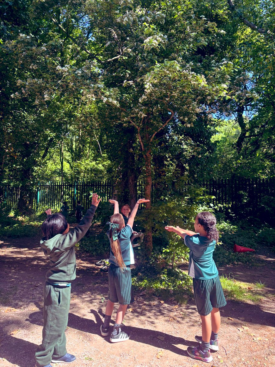 MrsHarrisDHT's tweet photo. Break time was filled with smiles and giggles, as these friends enjoyed catching blossom petals in the warm breeze 🌸 @StAmbroseSpeke @MrsSadiqY2 https://t.co/wK6HmLTznA