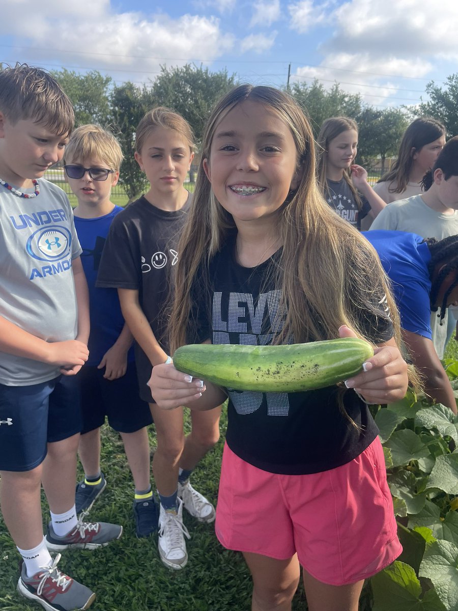 Kara Wolf (@mrswolfrtgg) on Twitter photo And for their final Garden Day after six years of enjoying the beautiful <a href="/SwenkeCFISD/">SwenkeCFISD</a> garden, we harvested an incredible amount of food and we tasted green beans! <a href="/readygrowgarden/">Ready to Grow Garden</a> <a href="/cnespeca1/">Courtney Nespeca</a> @Swenke_AP And for their final Garden Day after six years of enjoying the beautiful <a href="/SwenkeCFISD/">SwenkeCFISD</a> garden, we harvested an incredible amount of food and we tasted green beans! <a href="/readygrowgarden/">Ready to Grow Garden</a> <a href="/cnespeca1/">Courtney Nespeca</a> @Swenke_AP