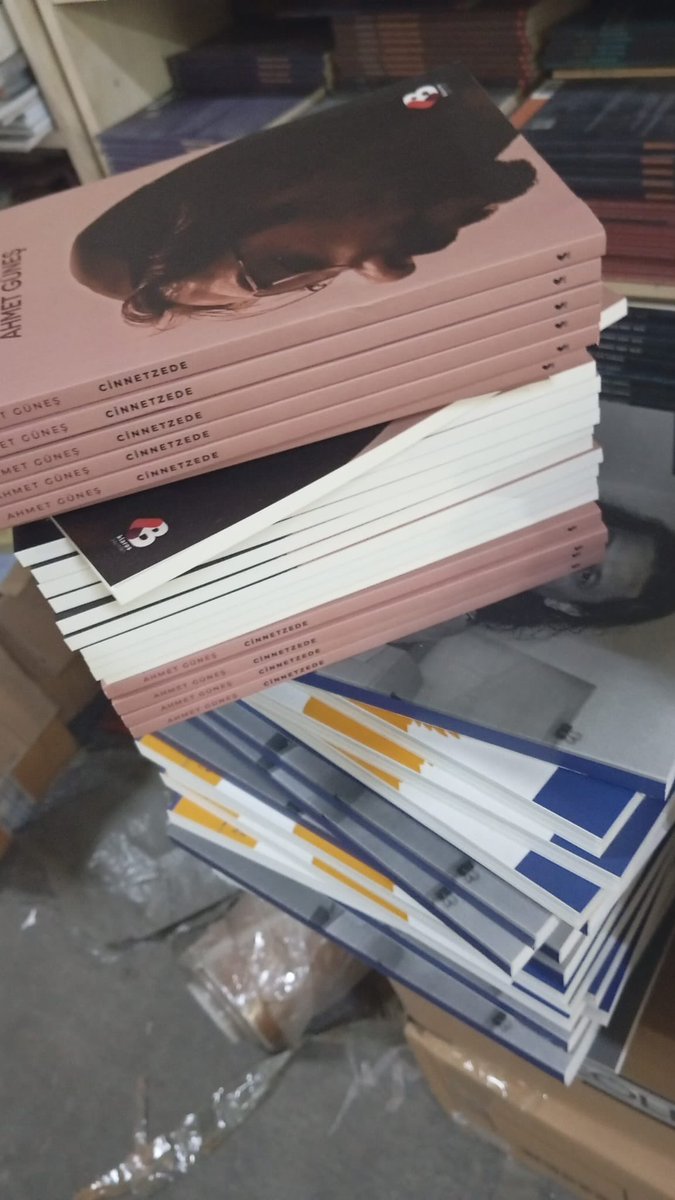 yayınevi gönderdi. birileri ‘cinnetzede’, halen.