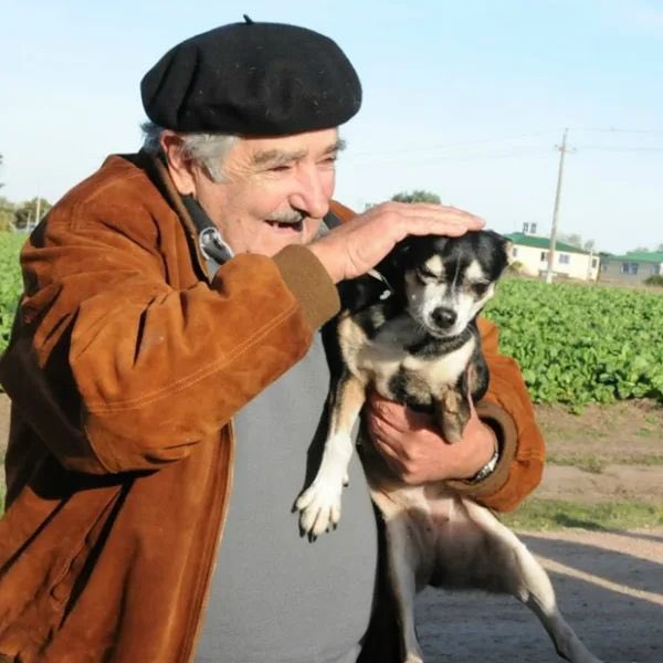 Se ha ido Pepe Mujica. Pero no su ejemplo. Vivió con lo justo, habló con la verdad y gobernó con coherencia. Un político sin adornos, sin ambiciones, sin ego. Murió como vivió: rodeado de animales, con dignidad. Gracias, Pepe, por mostrar que la política puede ser honesta y