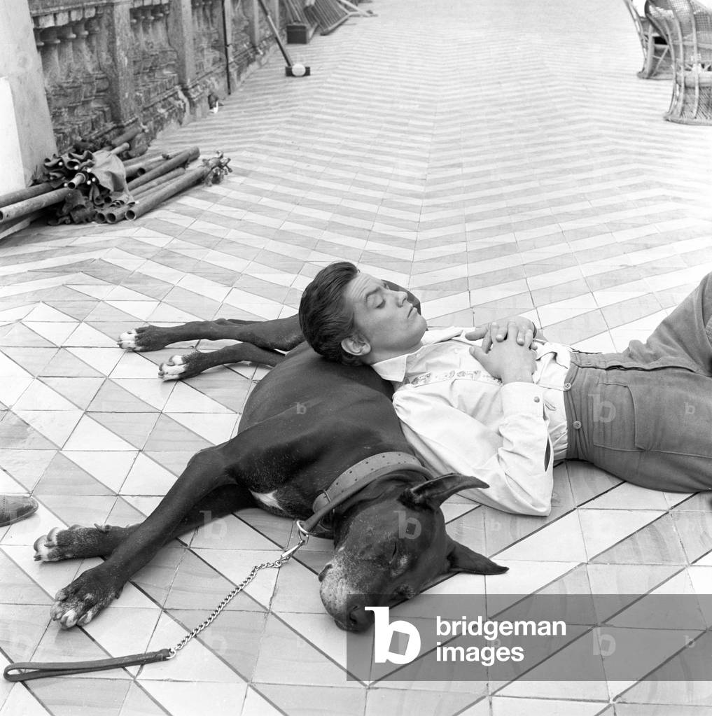 RealBenChurch's tweet image. Thinking about the Great Dane in The Leopard (1963)