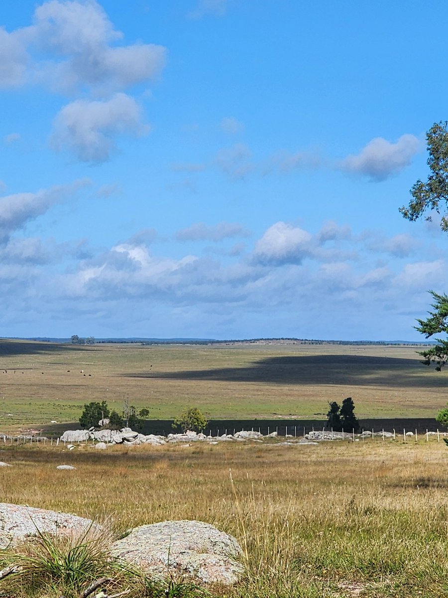 Solo ésto necesito hoy ....