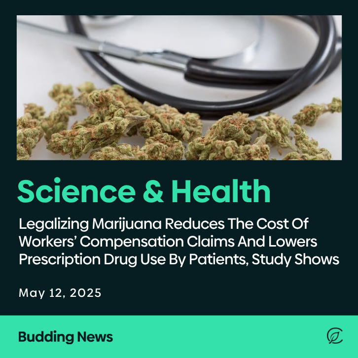 curaleafmd's tweet photo. Legalizing Marijuana Reduces The Cost Of Workers’ Compensation Claims And Lowers Prescription Drug Use By Patients, Study Shows

Read more: https://t.co/F3vHlFzHv4 https://t.co/8SQ6Low8Ii
