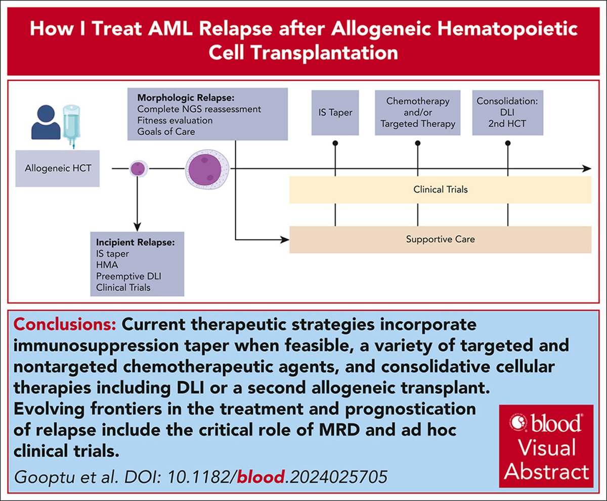 Blood Journal (@bloodjournal) on Twitter photo The incidence of relapse has remained unchanged over the last 3 decades despite an evolving understanding of the immunobiology of the graft-versus-leukemia effect and the immune escape mechanisms that lead to post-HSCT relapse. ow.ly/3lHe50VPLth #HowITreat The incidence of relapse has remained unchanged over the last 3 decades despite an evolving understanding of the immunobiology of the graft-versus-leukemia effect and the immune escape mechanisms that lead to post-HSCT relapse. ow.ly/3lHe50VPLth #HowITreat