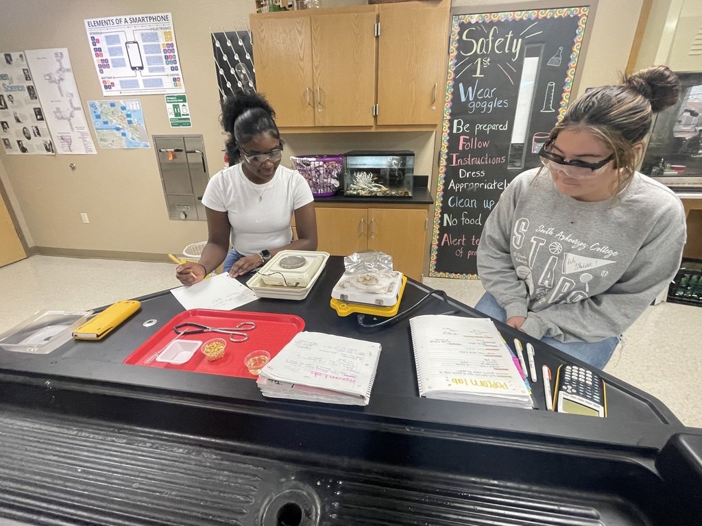 EHSGoCats's tweet image. Advanced Chemistry is POPPIN'! Students conducted an end-of-semester lab comparing the percent of water content in white kernels versus yellow kernels.