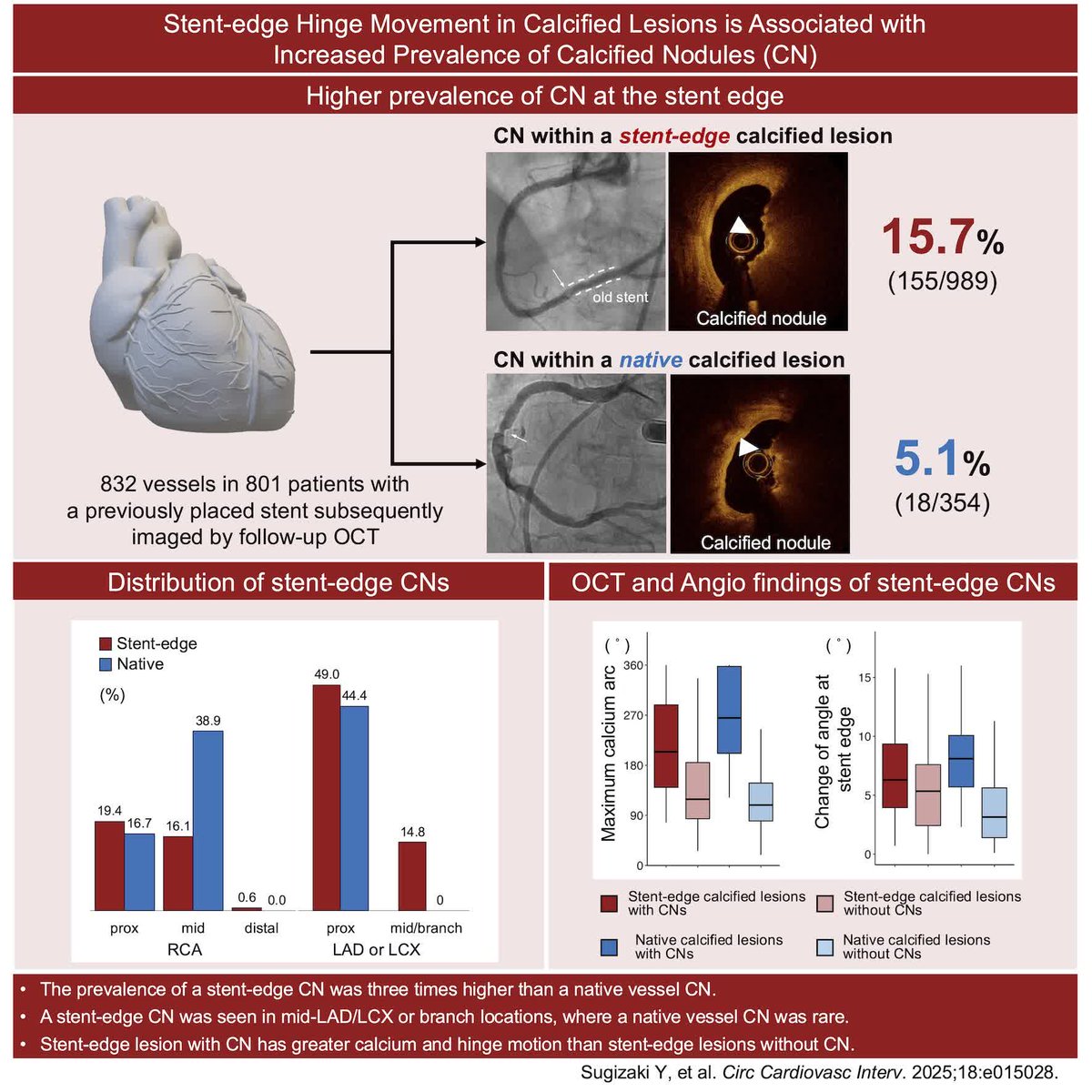 CircInterventions (@circintv) on Twitter photo Stent-edge calcium may predispose to the development of calcific nodules and increased cardiac events <a href="/djc795/">David J. Cohen, MD, MSc</a> <a href="/DoosupShin/">Doosup Shin</a> <a href="/DrAllenJ/">Allen Jeremias</a> <a href="/cardio_dr_ys/">Yoichiro.S@循環器内科医</a> @EShlof <a href="/OKhaliqueMD/">Omar Khalique</a> @DakroubAli_ <a href="/ziadalinyc/">Ziad Ali</a> #AHAJournals ahajrnls.org/3FaLMtL Stent-edge calcium may predispose to the development of calcific nodules and increased cardiac events <a href="/djc795/">David J. Cohen, MD, MSc</a> <a href="/DoosupShin/">Doosup Shin</a> <a href="/DrAllenJ/">Allen Jeremias</a> <a href="/cardio_dr_ys/">Yoichiro.S@循環器内科医</a> @EShlof <a href="/OKhaliqueMD/">Omar Khalique</a> @DakroubAli_ <a href="/ziadalinyc/">Ziad Ali</a> #AHAJournals ahajrnls.org/3FaLMtL