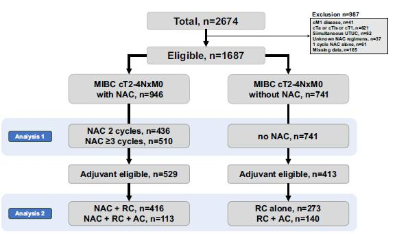 ShingoHatakeya1's tweet photo. We are happy to share our recent publication, 
"Effects of the NAC  and Adjuvant Chemotherapy on the Prognosis of MIBC Treated With Radical Cystectomy". 
Our findings showed that 3 or more NAC cycles plus AC may have limited effects on OS in MIBC patients who received RC. https://t.co/jAmxF4247L