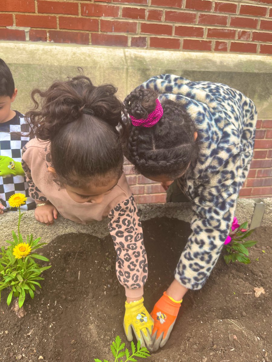 Ms. Mornhineway tweet media