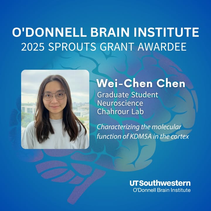 UT Southwestern O'Donnell Brain Institute (@utswbrain) on Twitter photo Neuroscience graduate student, Wei-Chen Chen, is a 2025 OBI Sprouts Grant recipient. The Sprouts program supports trainees exploring new research directions. Wei-Chen is studying the molecular mechanisms underlying Autism Spectrum Disorder under the mentorship of <a href="/MariaChahrour/">Maria Chahrour</a>. Neuroscience graduate student, Wei-Chen Chen, is a 2025 OBI Sprouts Grant recipient. The Sprouts program supports trainees exploring new research directions. Wei-Chen is studying the molecular mechanisms underlying Autism Spectrum Disorder under the mentorship of <a href="/MariaChahrour/">Maria Chahrour</a>.