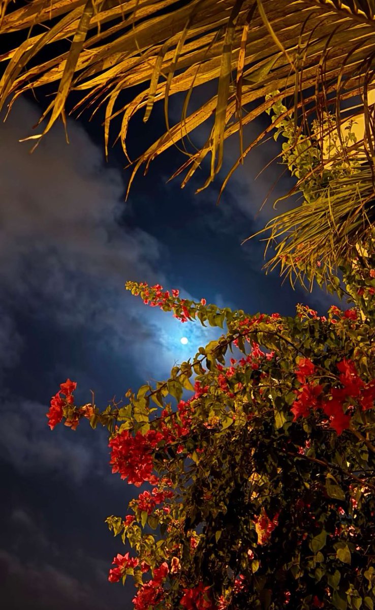 إبعد عن العالم السيء تعيش بسلام
العزله أحيان تصبح مرحله ممتعه

من معطيات التجارب وإختصار الكلام
أنجح عقول الخلايق فـ الزمان أربعه

#مساء_الخير_والسعاده_للجميع