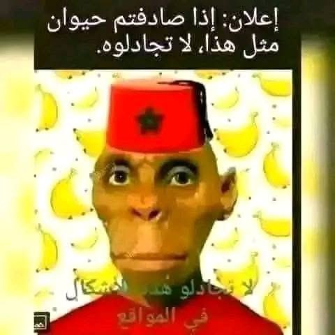 godillant's tweet photo. @khalki_mouhcine @MerzoukMokarram https://t.co/8APh095KgU