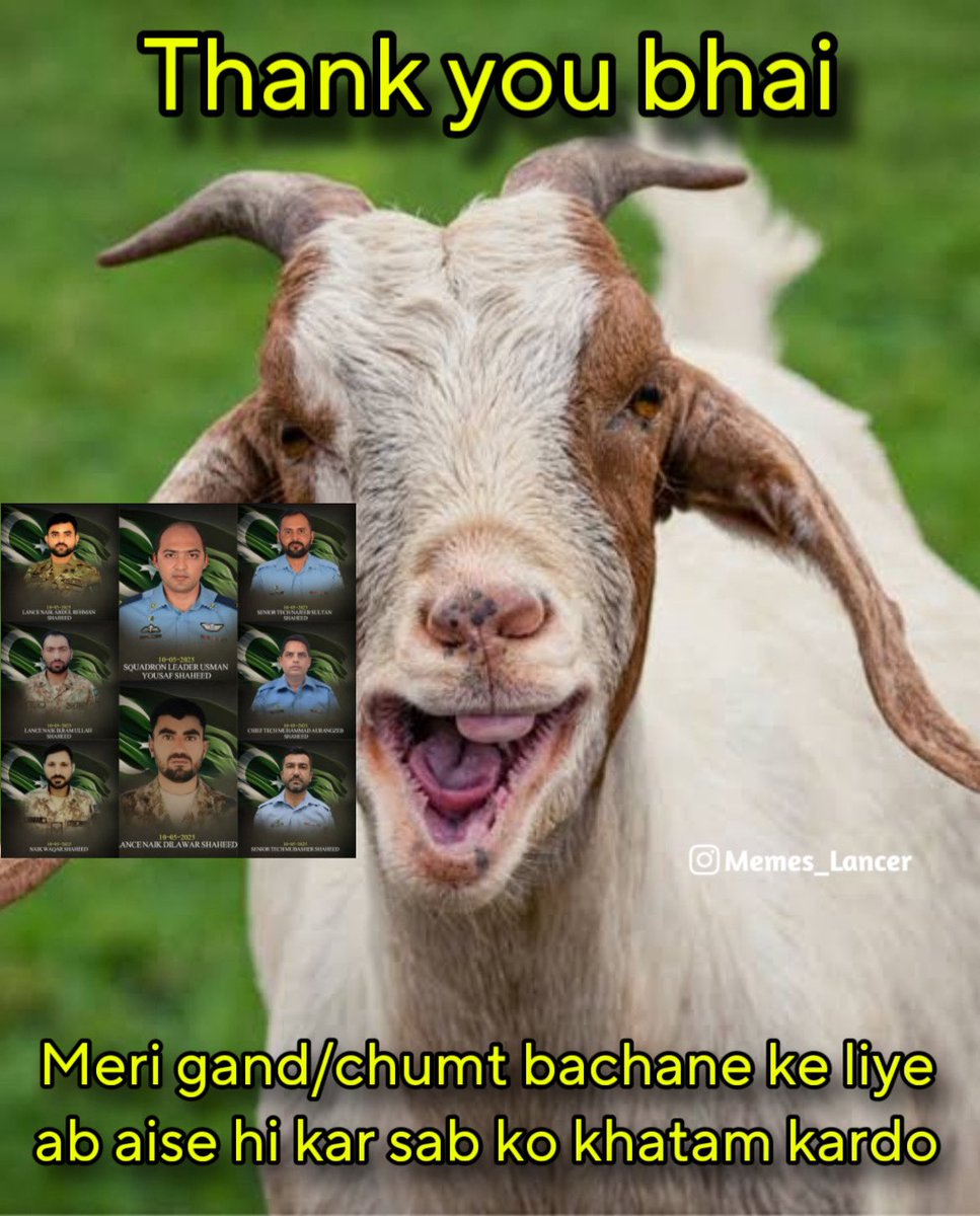 Memes_lancer's tweet image. 