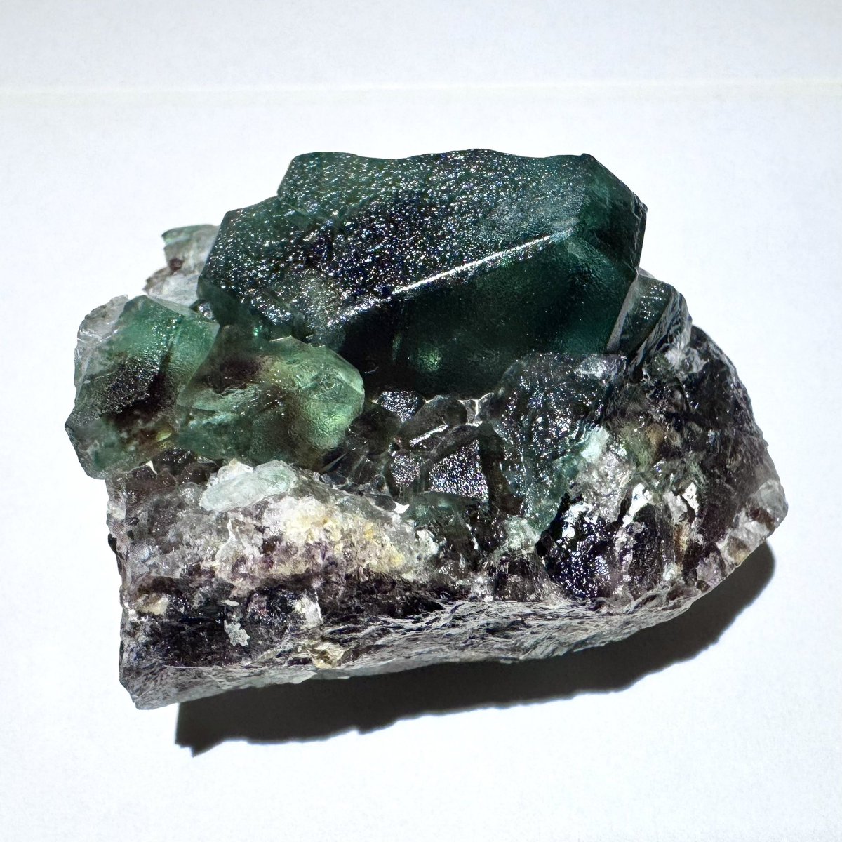 exoticcrystals's tweet photo. ⚜️Gorgeous Fluorite from Erongo Mountains, Namibia⚜️ #fluorite #minerals https://t.co/C1AjI6Qy8w